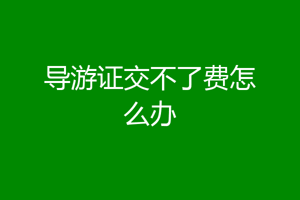 导游证交不了费怎么办