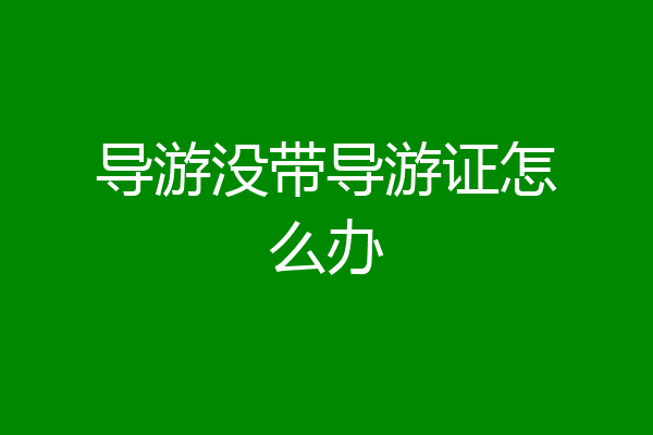 导游没带导游证怎么办