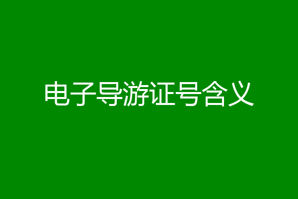 电子导游证号含义
