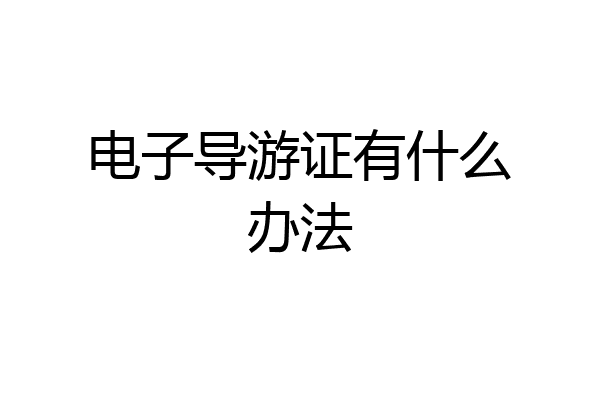 电子导游证有什么办法