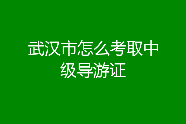 武汉市怎么考取中级导游证