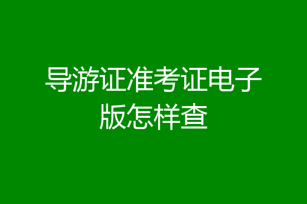 导游证准考证电子版怎样查