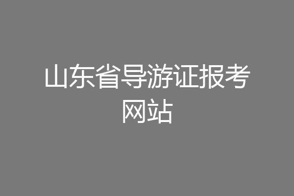 山东省导游证报考网站