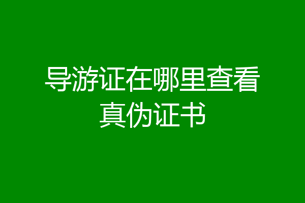 导游证在哪里查看真伪证书
