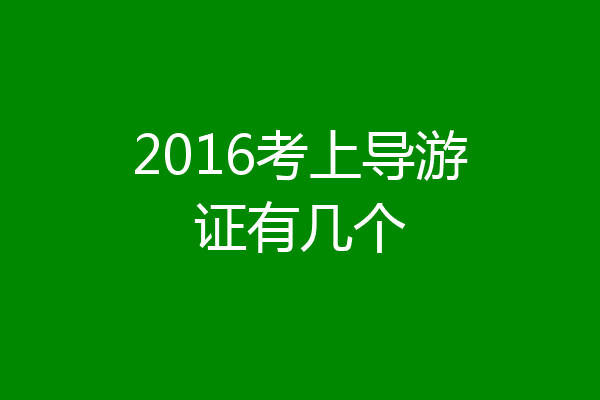 2016考上导游证有几个