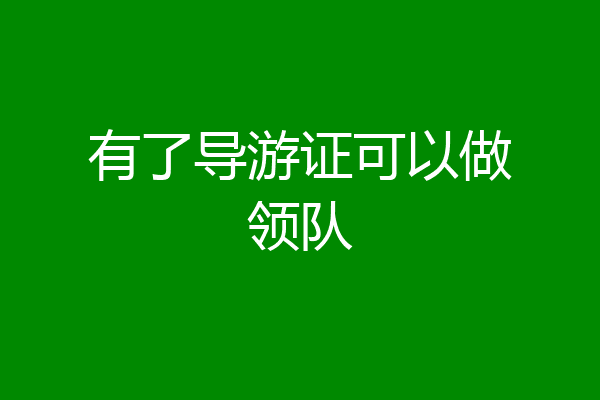 有了导游证可以做领队