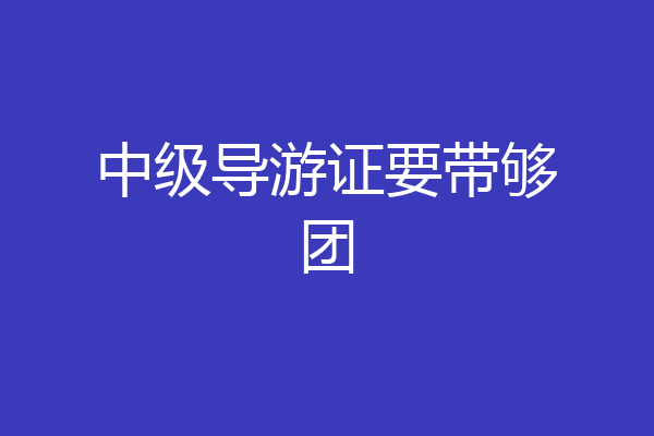 中级导游证要带够团