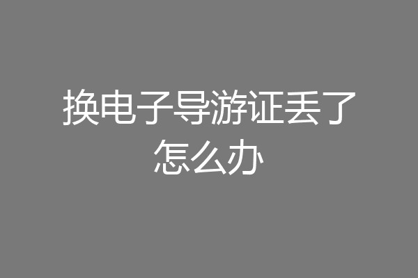 换电子导游证丢了怎么办