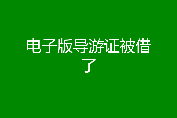 电子版导游证被借了