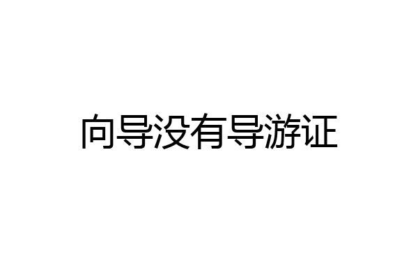 向导没有导游证
