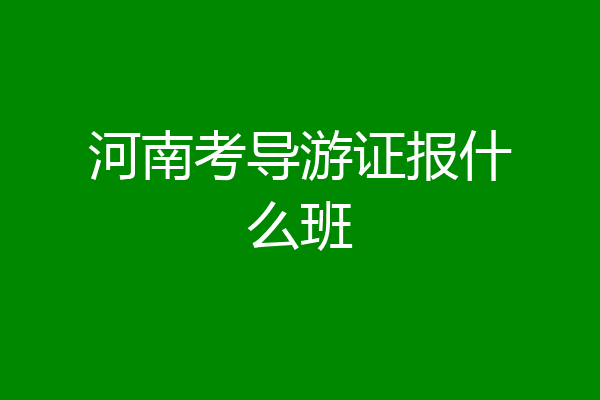 河南考导游证报什么班