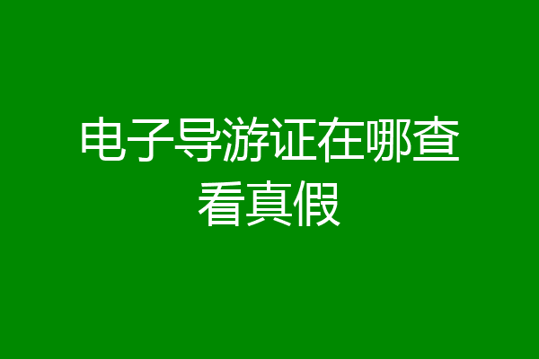 电子导游证在哪查看真假