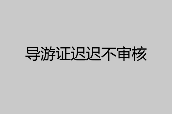 导游证迟迟不审核