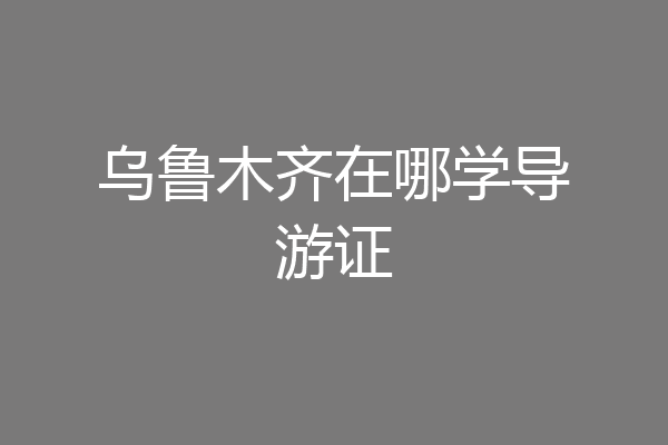 乌鲁木齐在哪学导游证