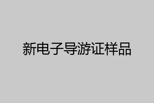 新电子导游证样品