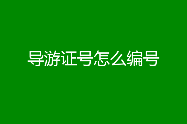 导游证号怎么编号