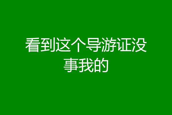看到这个导游证没事我的
