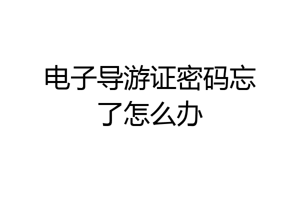 电子导游证密码忘了怎么办