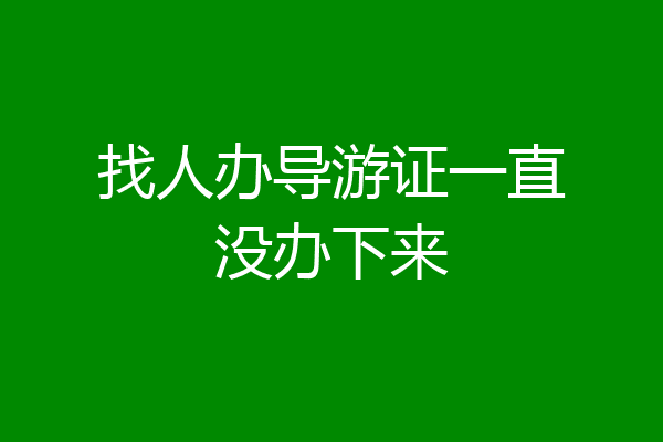 找人办导游证一直没办下来