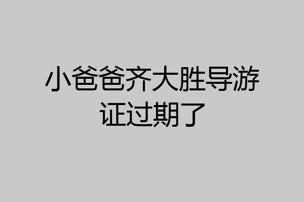 小爸爸齐大胜导游证过期了