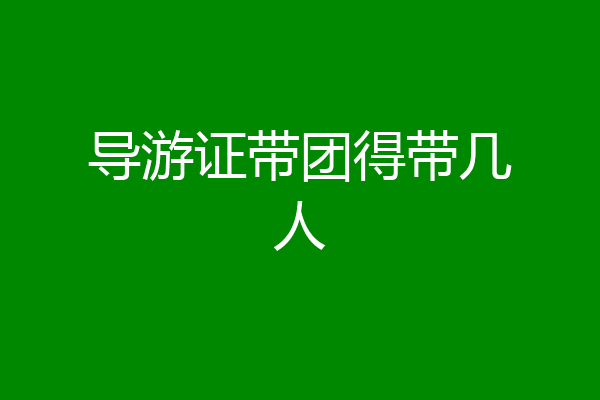 导游证带团得带几人