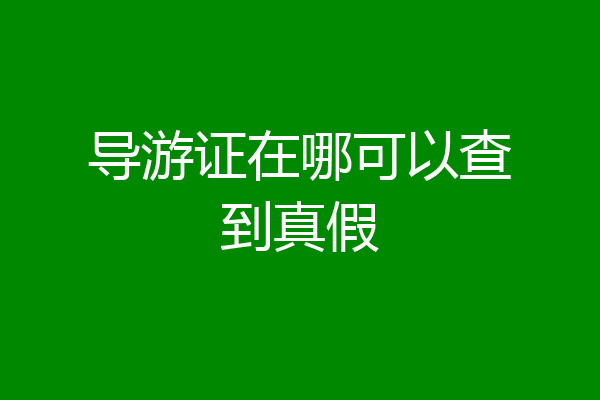 导游证在哪可以查到真假