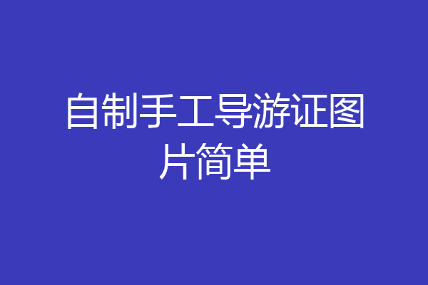 自制手工导游证图片简单