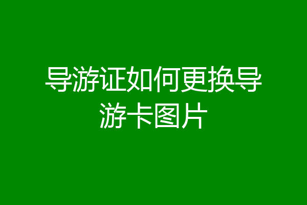 导游证如何更换导游卡图片
