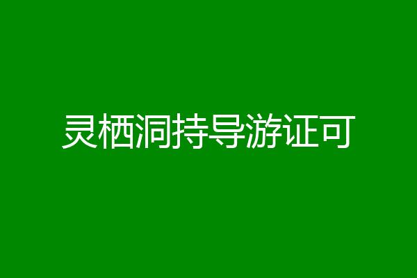 灵栖洞持导游证可