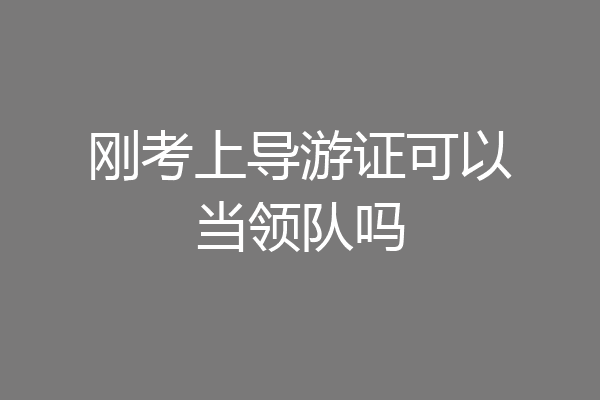 刚考上导游证可以当领队吗