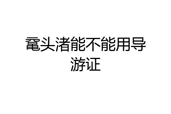 鼋头渚能不能用导游证