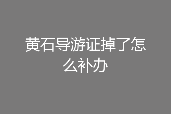 黄石导游证掉了怎么补办