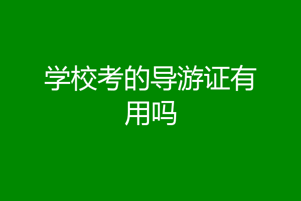 学校考的导游证有用吗