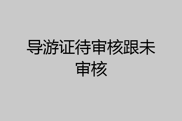 导游证待审核跟未审核