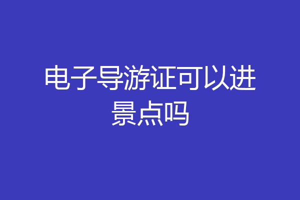电子导游证可以进景点吗