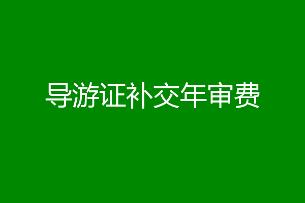 导游证补交年审费