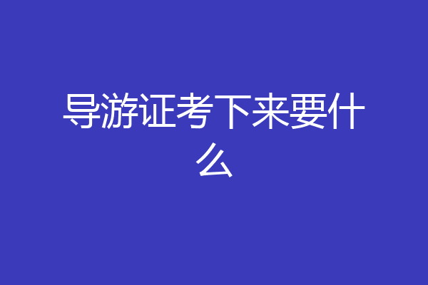 导游证考下来要什么