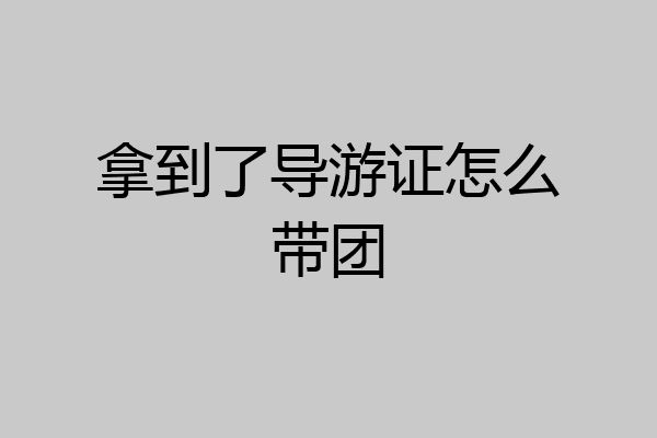 拿到了导游证怎么带团