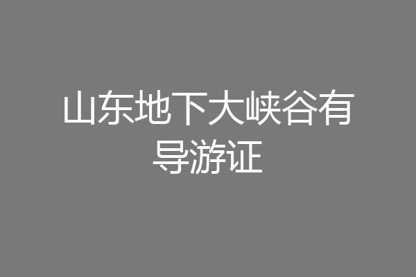 山东地下大峡谷有导游证