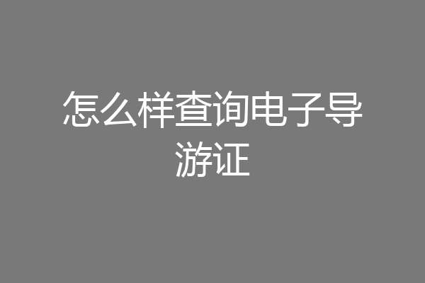 怎么样查询电子导游证