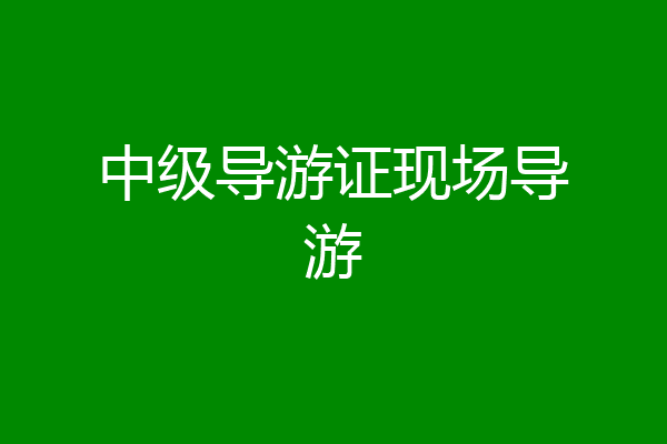 中级导游证现场导游