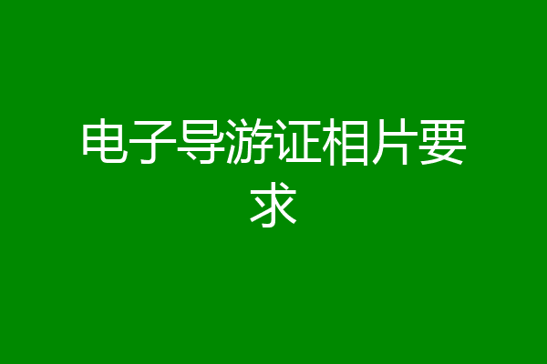 电子导游证相片要求