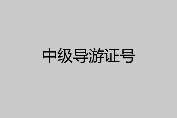 中级导游证号