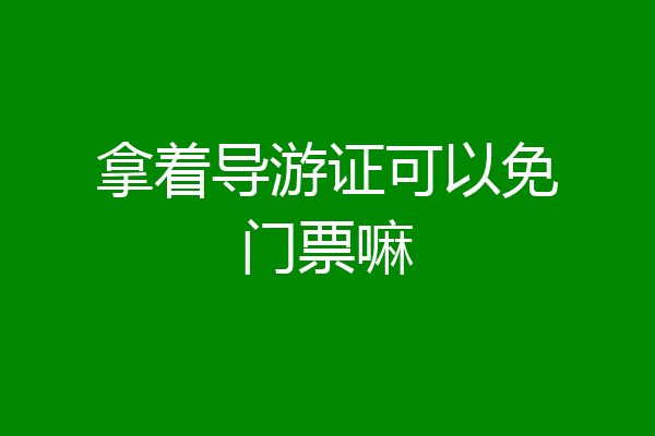 拿着导游证可以免门票嘛