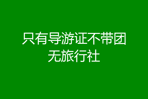 只有导游证不带团无旅行社