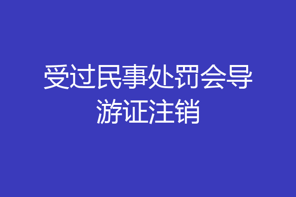 受过民事处罚会导游证注销
