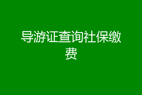 导游证查询社保缴费