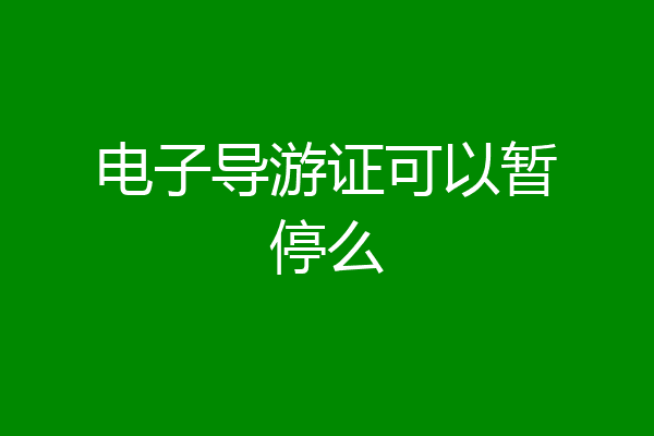 电子导游证可以暂停么