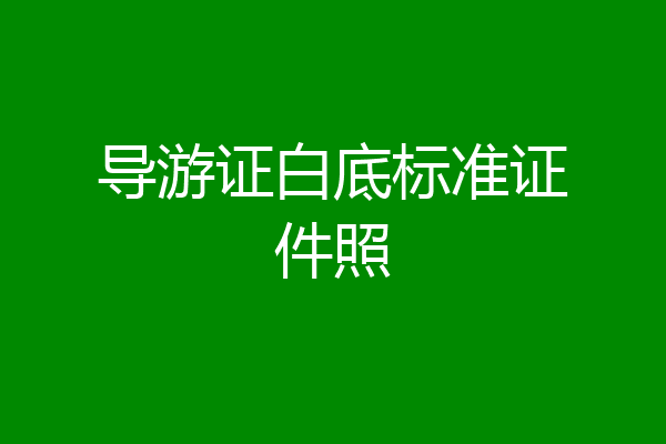 导游证白底标准证件照