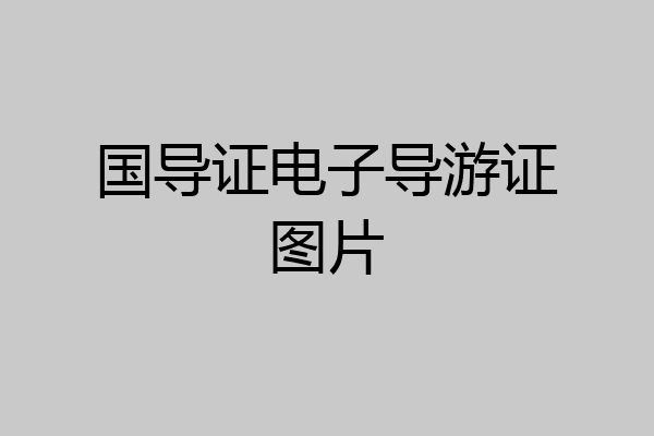 国导证电子导游证图片